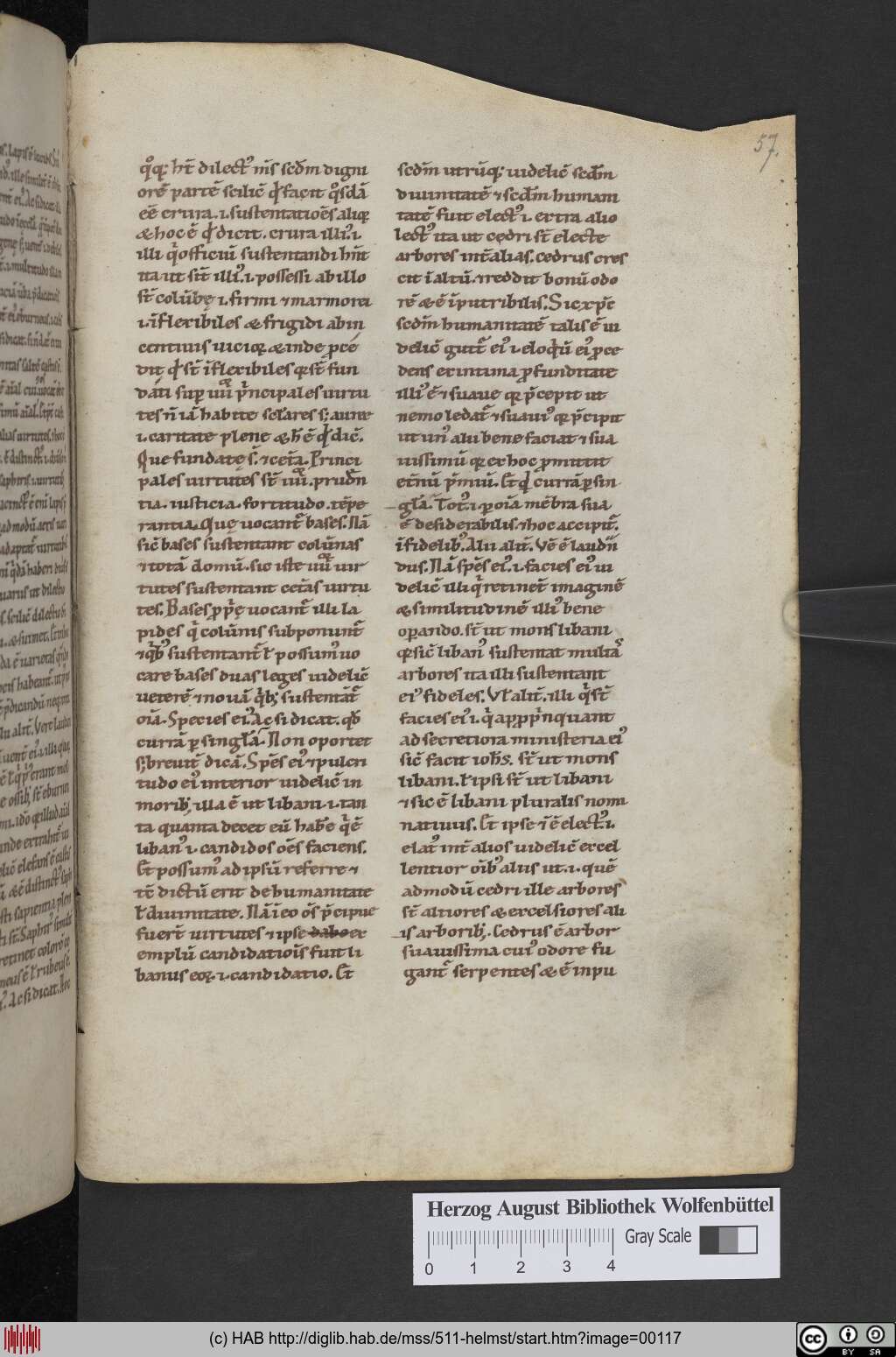 http://diglib.hab.de/mss/511-helmst/00117.jpg