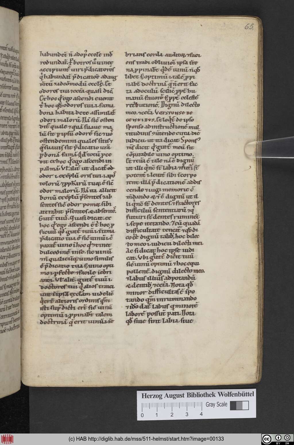 http://diglib.hab.de/mss/511-helmst/00133.jpg