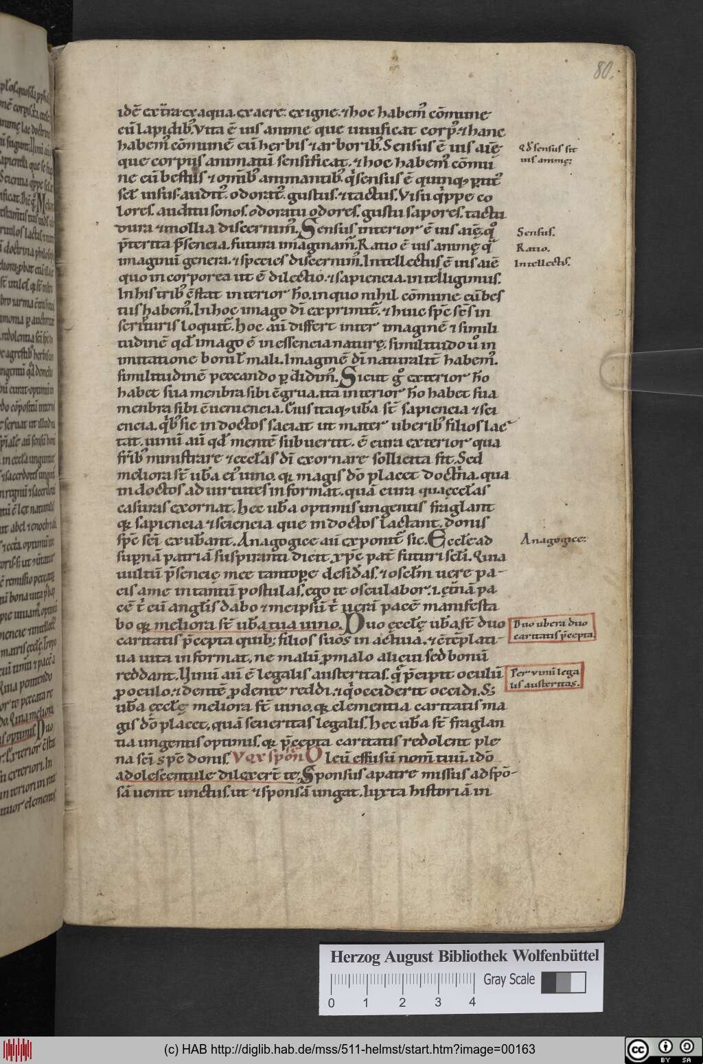 http://diglib.hab.de/mss/511-helmst/00163.jpg