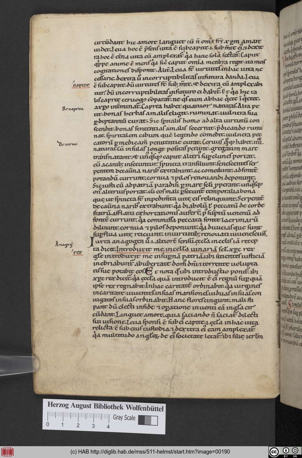 http://diglib.hab.de/mss/511-helmst/00190.jpg
