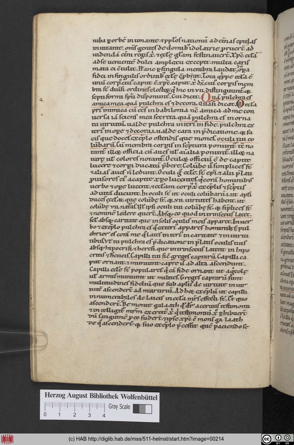 http://diglib.hab.de/mss/511-helmst/00214.jpg