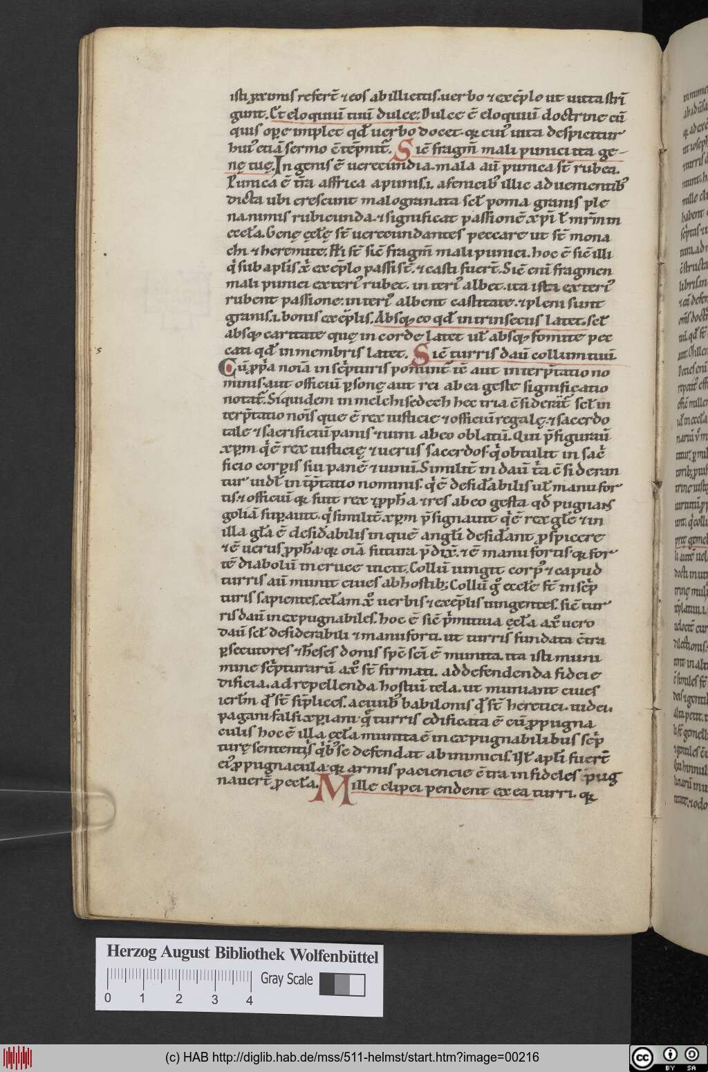 http://diglib.hab.de/mss/511-helmst/00216.jpg