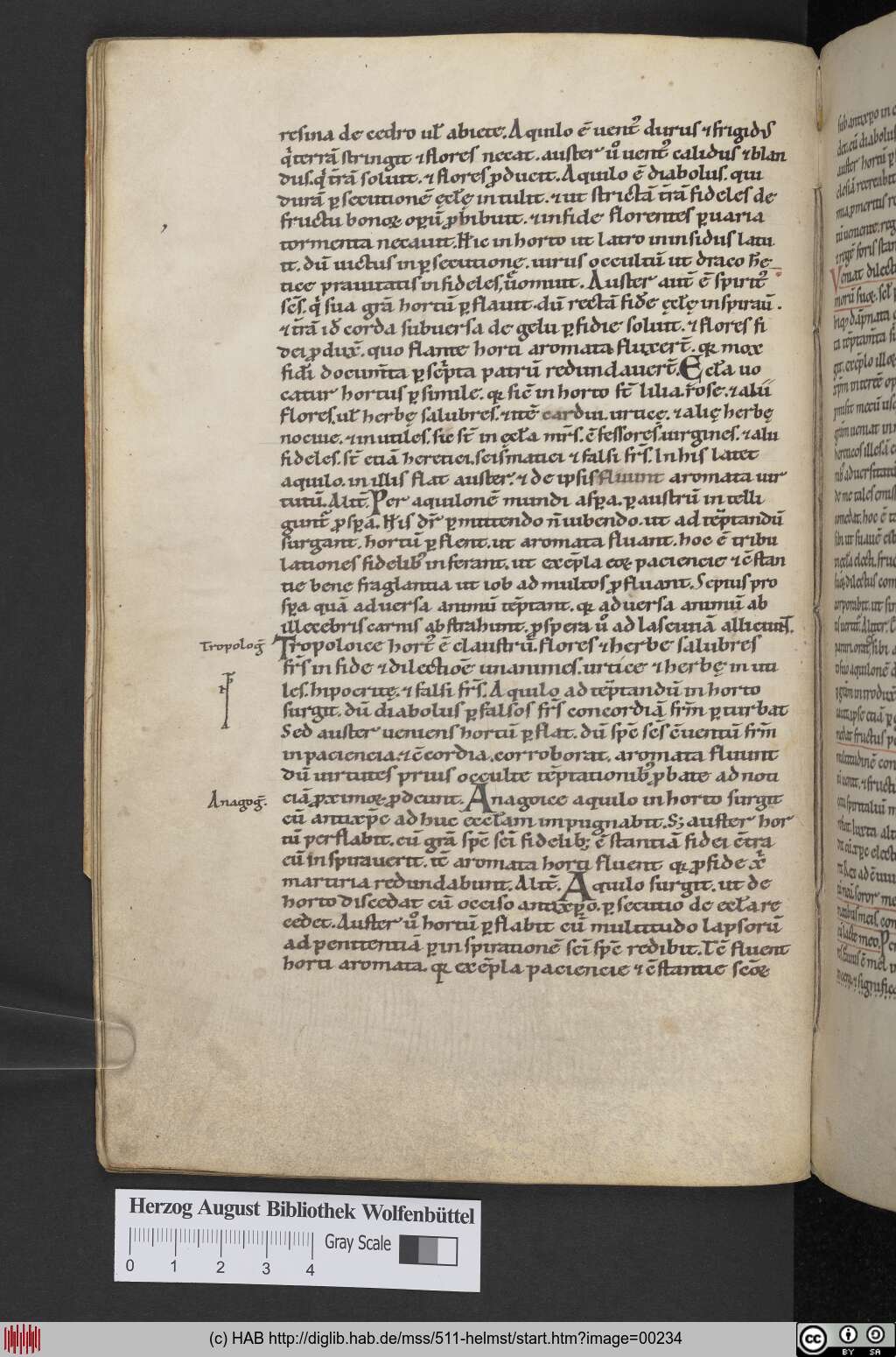 http://diglib.hab.de/mss/511-helmst/00234.jpg
