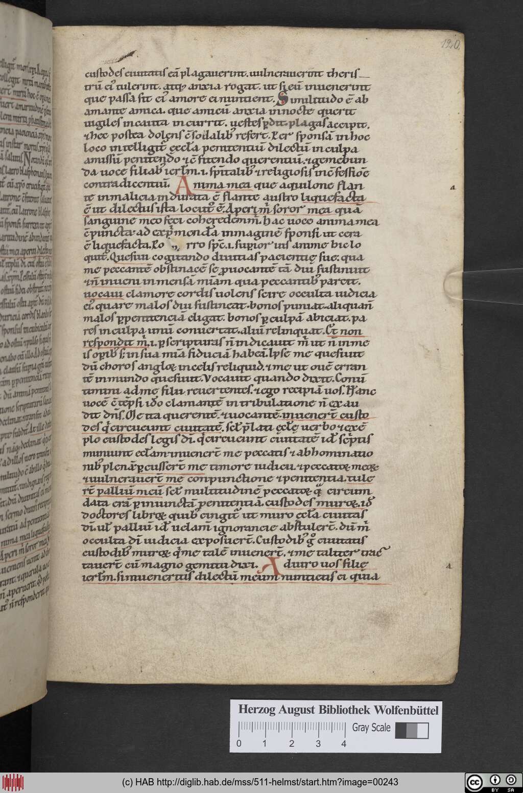 http://diglib.hab.de/mss/511-helmst/00243.jpg