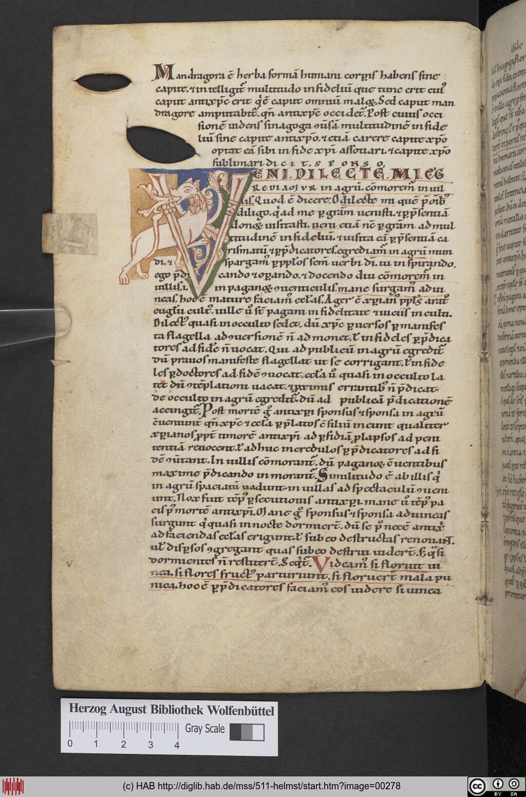 http://diglib.hab.de/mss/511-helmst/00278.jpg