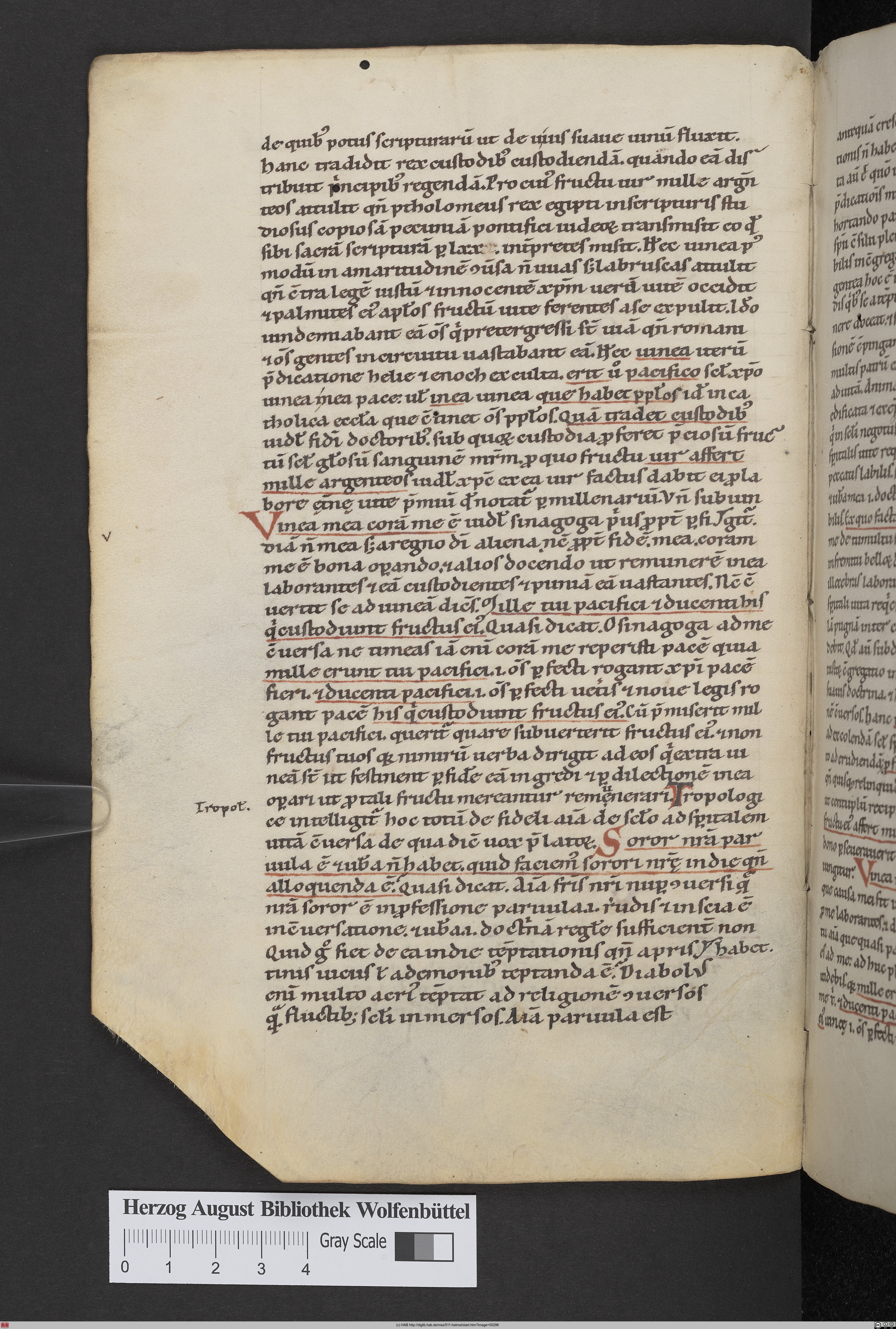 http://diglib.hab.de/mss/511-helmst/max/00296.jpg