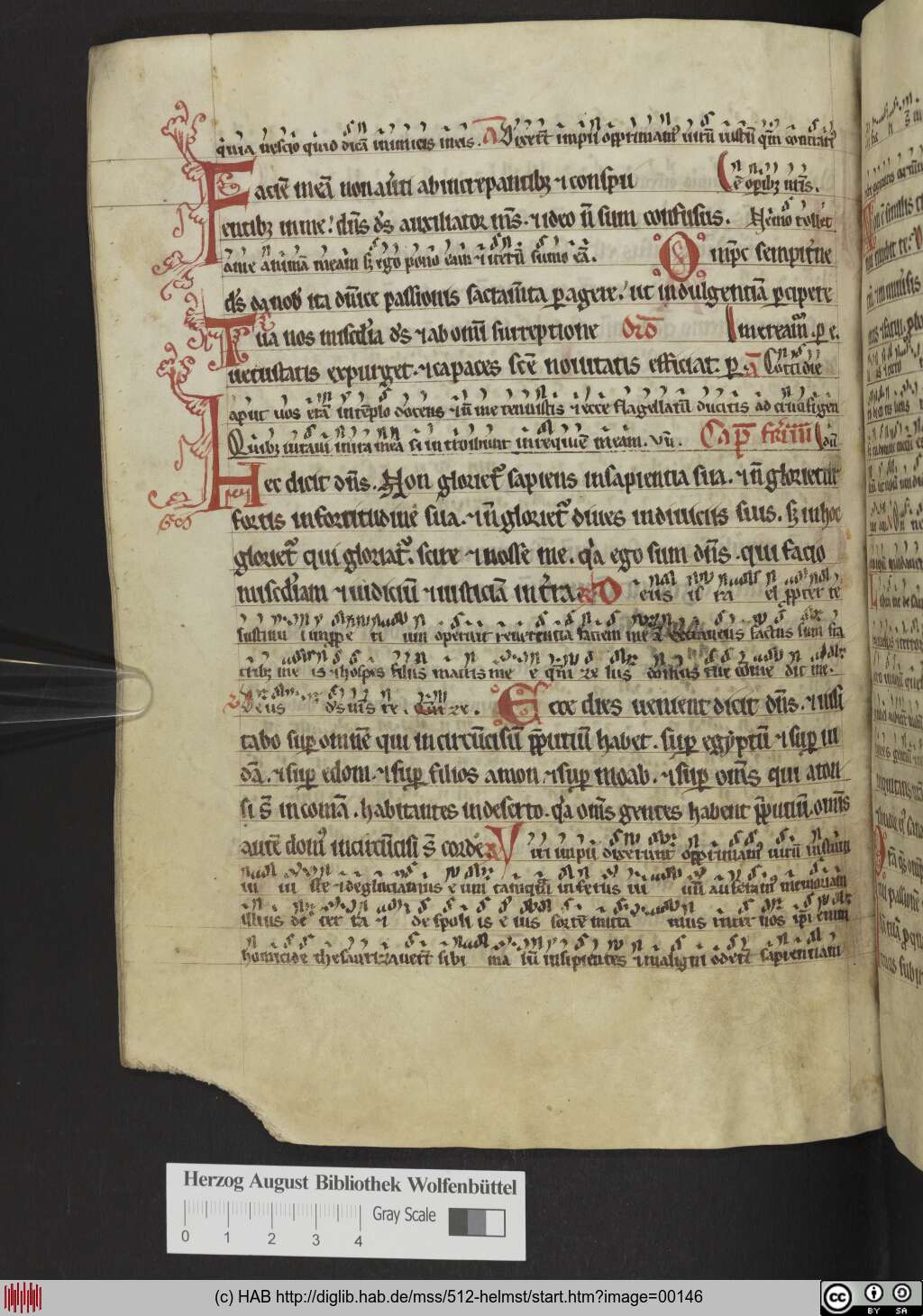 http://diglib.hab.de/mss/512-helmst/00146.jpg