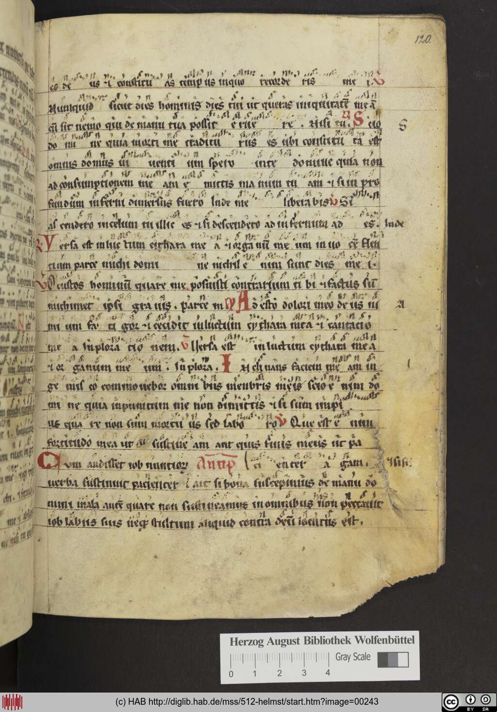 http://diglib.hab.de/mss/512-helmst/00243.jpg