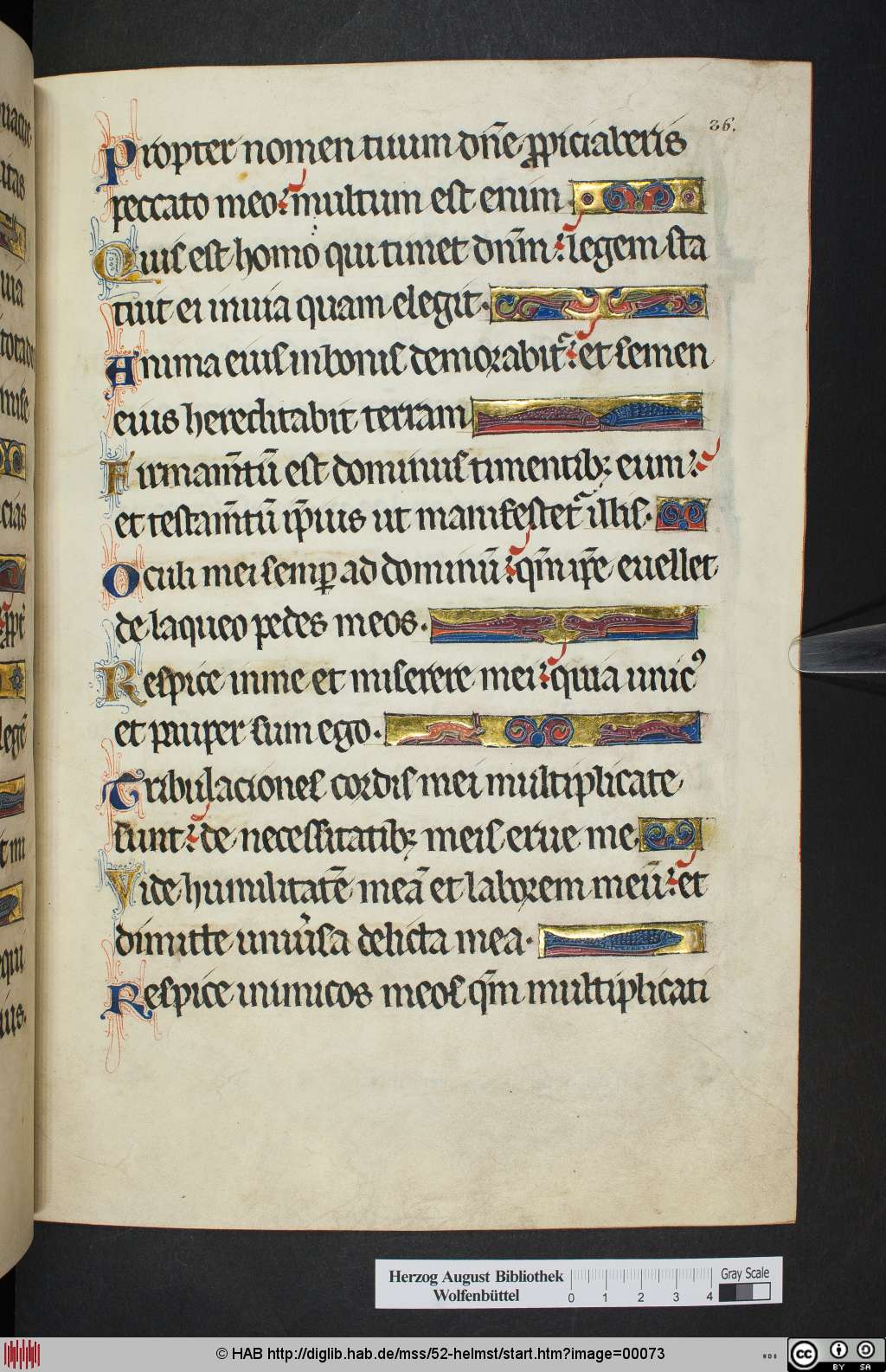 http://diglib.hab.de/mss/52-helmst/00073.jpg