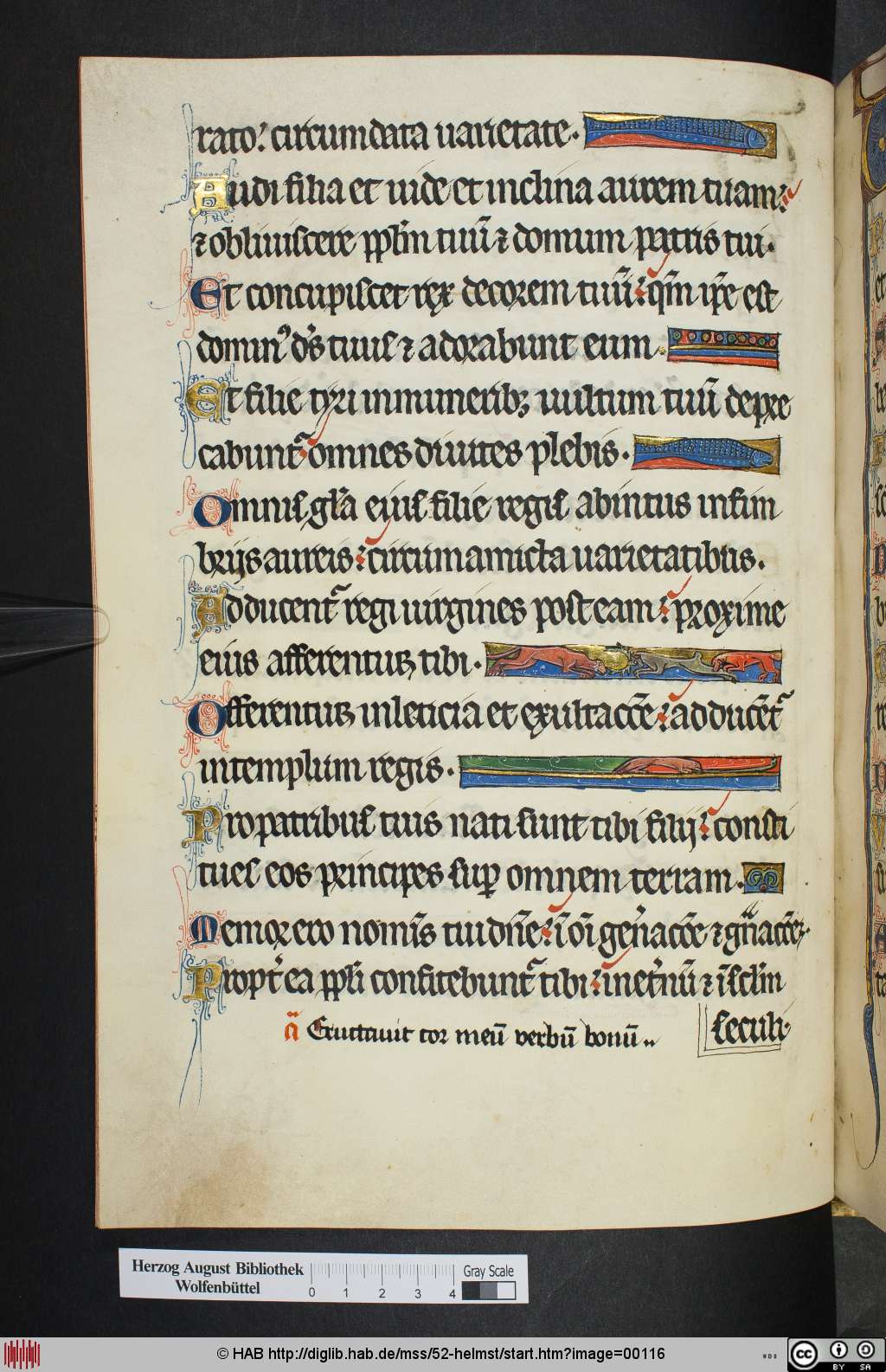 http://diglib.hab.de/mss/52-helmst/00116.jpg