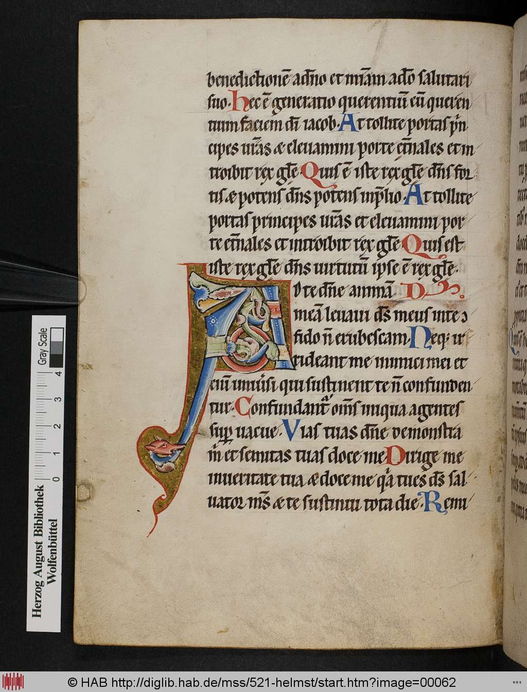 http://diglib.hab.de/mss/521-helmst/00062.jpg