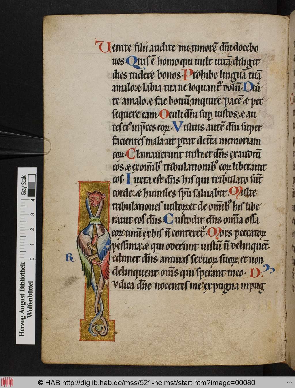 http://diglib.hab.de/mss/521-helmst/00080.jpg