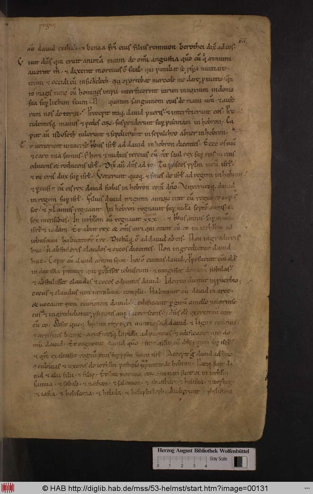 http://diglib.hab.de/mss/53-helmst/00131.jpg