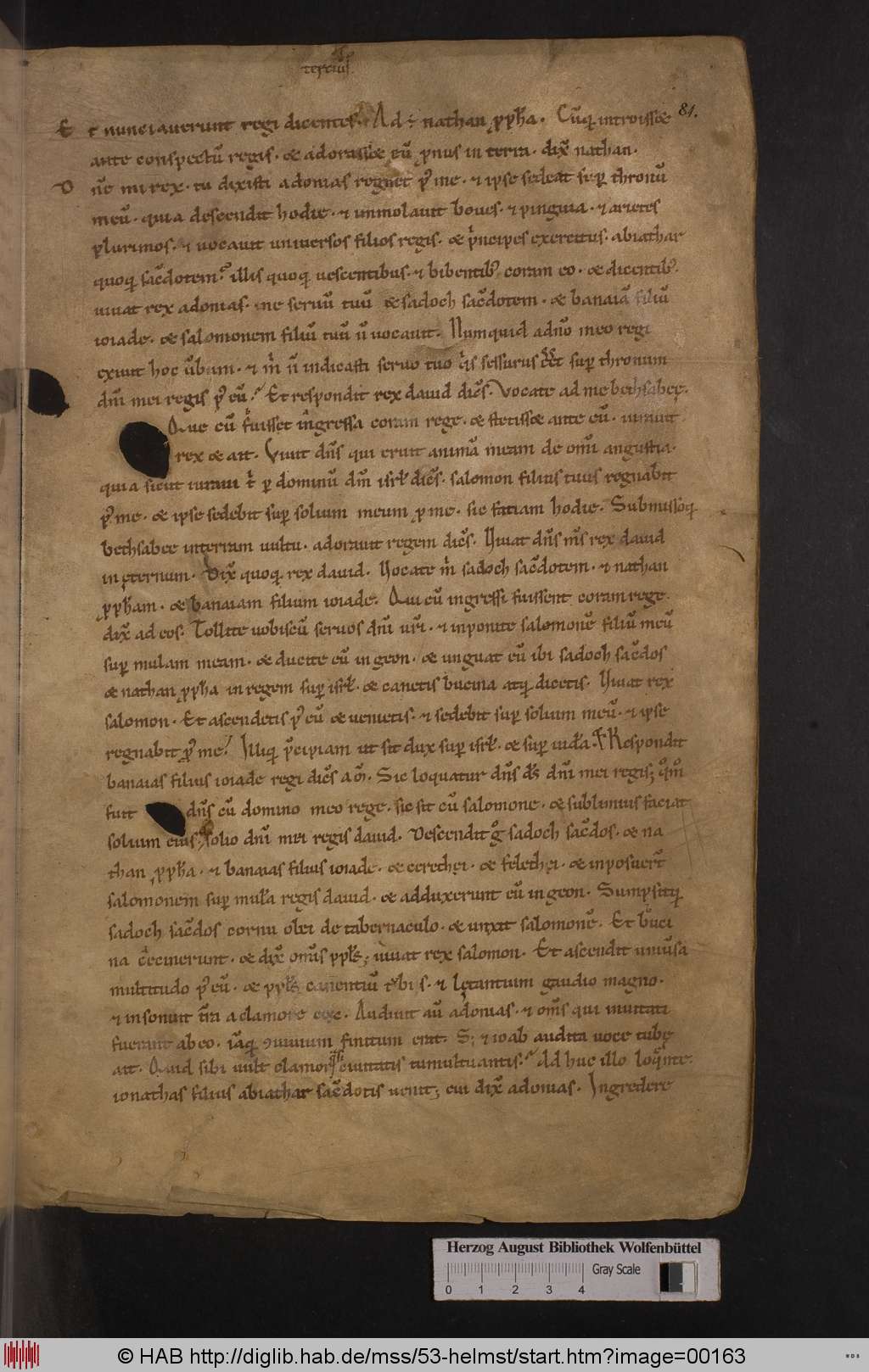 http://diglib.hab.de/mss/53-helmst/00163.jpg