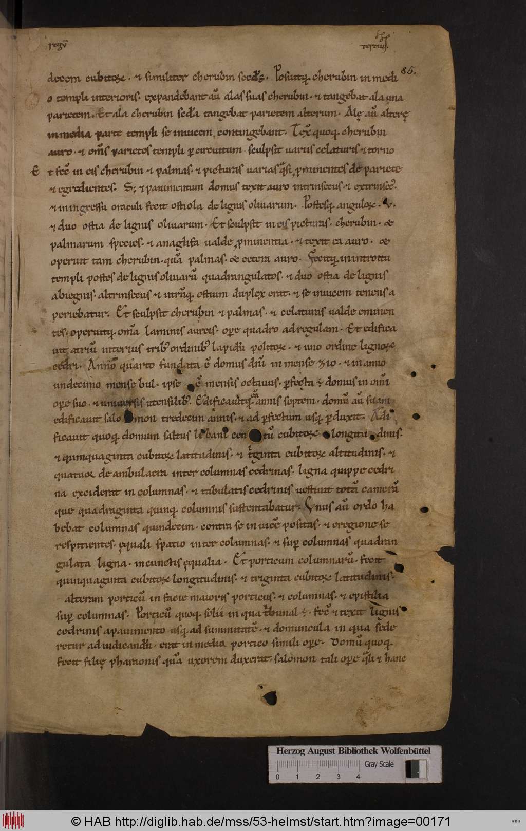 http://diglib.hab.de/mss/53-helmst/00171.jpg