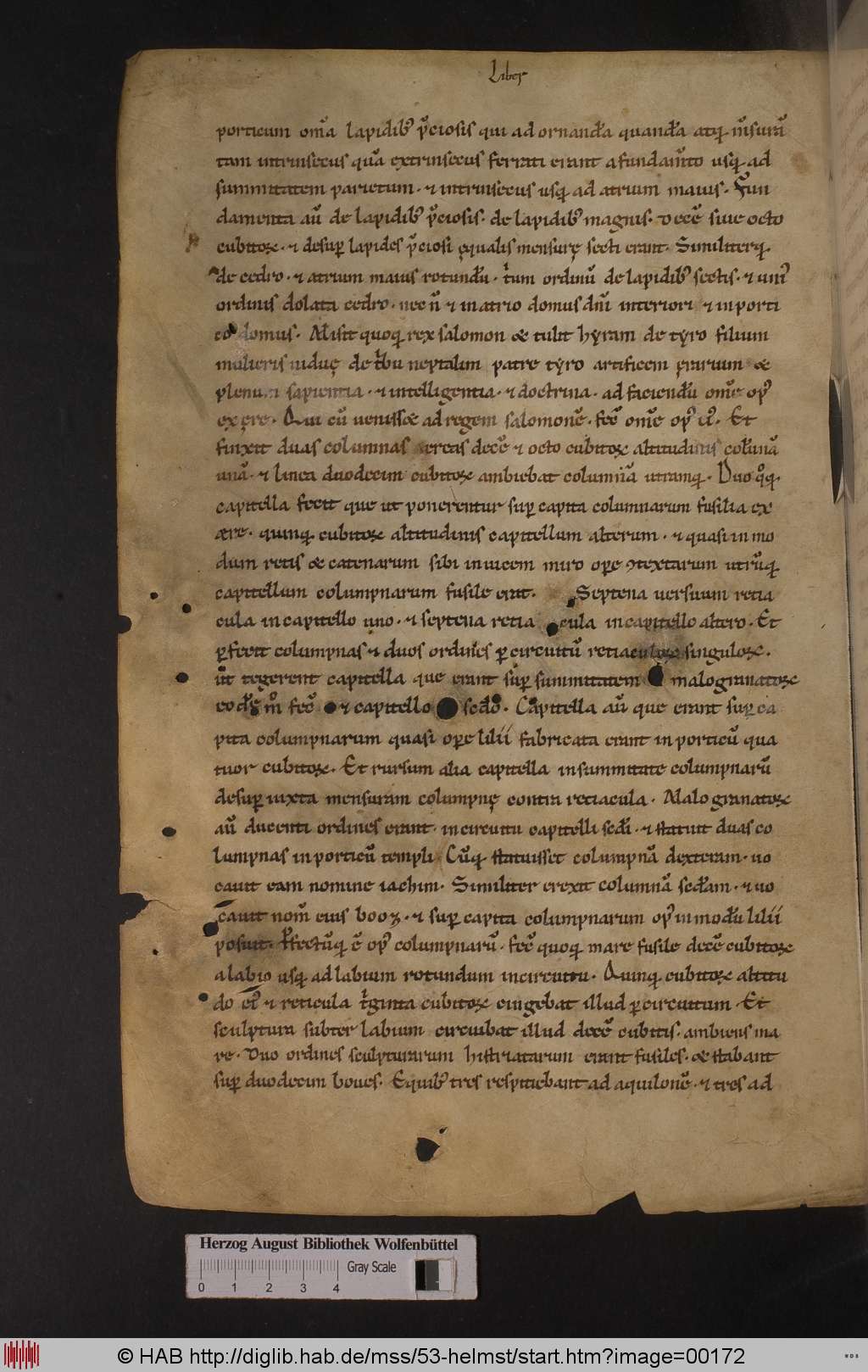 http://diglib.hab.de/mss/53-helmst/00172.jpg