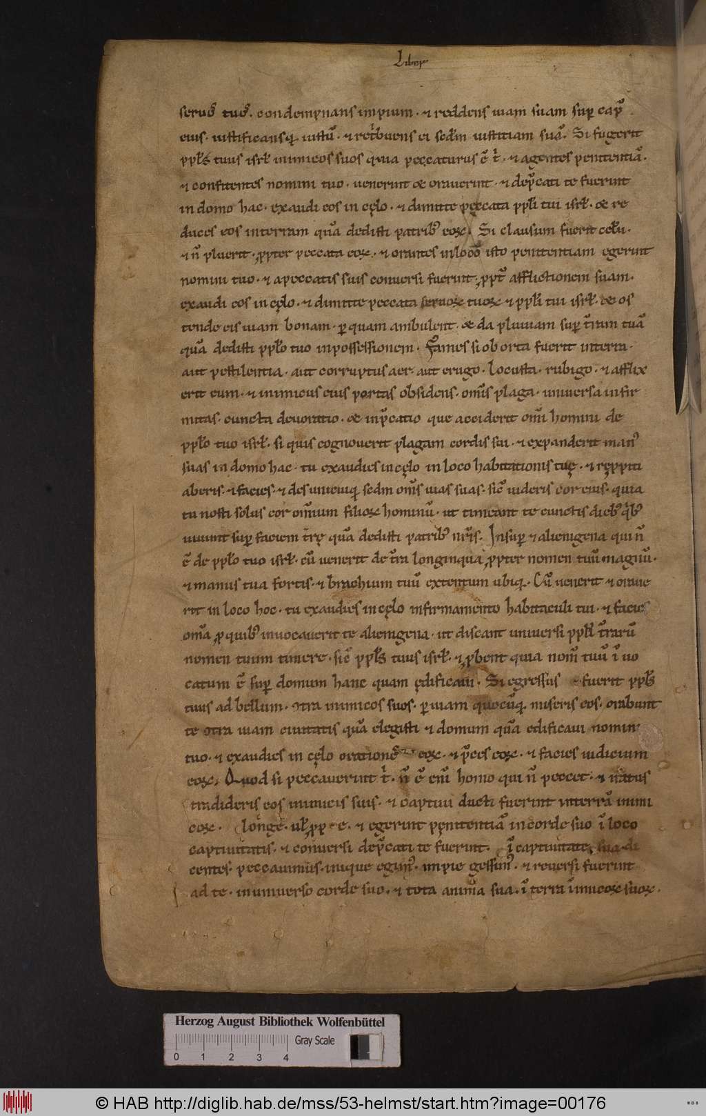 http://diglib.hab.de/mss/53-helmst/00176.jpg
