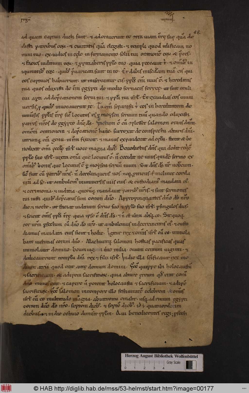 http://diglib.hab.de/mss/53-helmst/00177.jpg