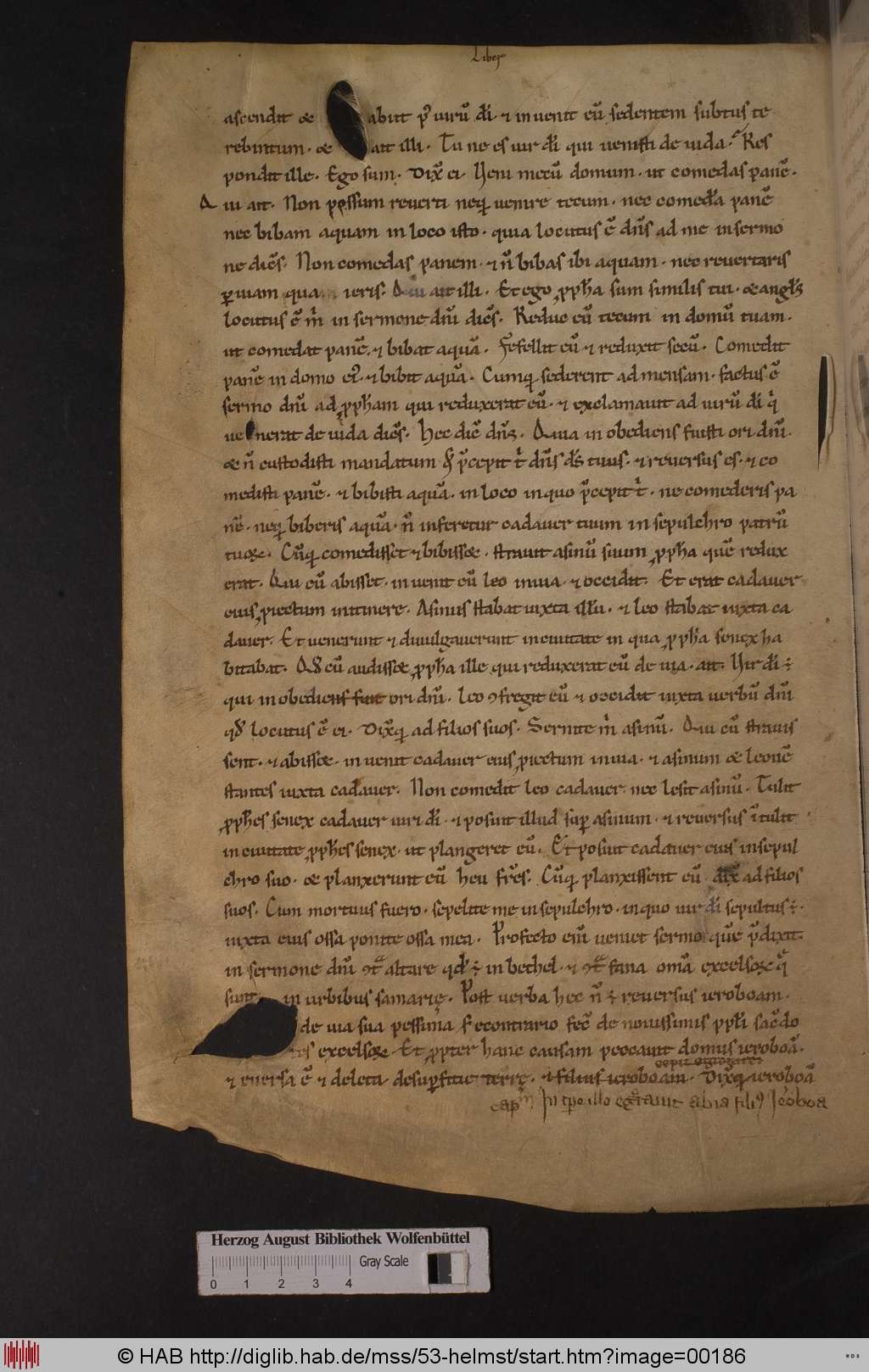 http://diglib.hab.de/mss/53-helmst/00186.jpg