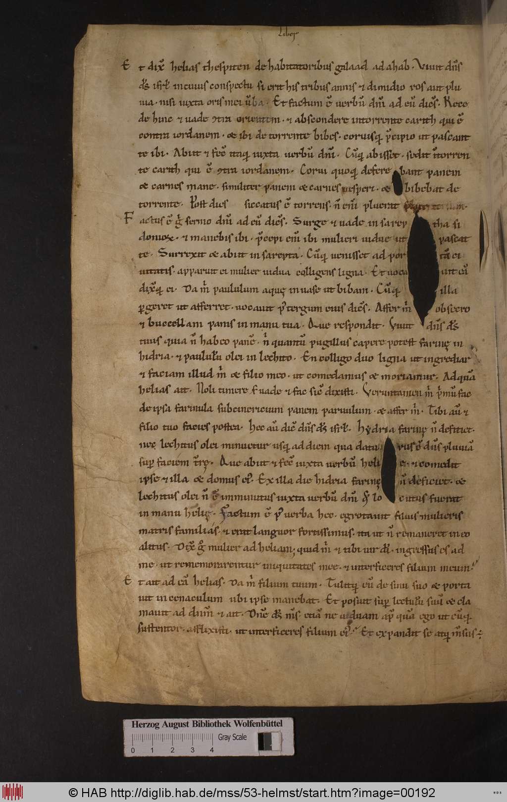 http://diglib.hab.de/mss/53-helmst/00192.jpg