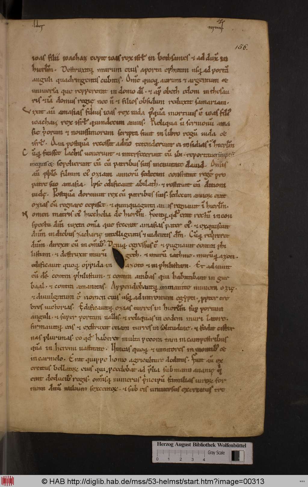 http://diglib.hab.de/mss/53-helmst/00313.jpg