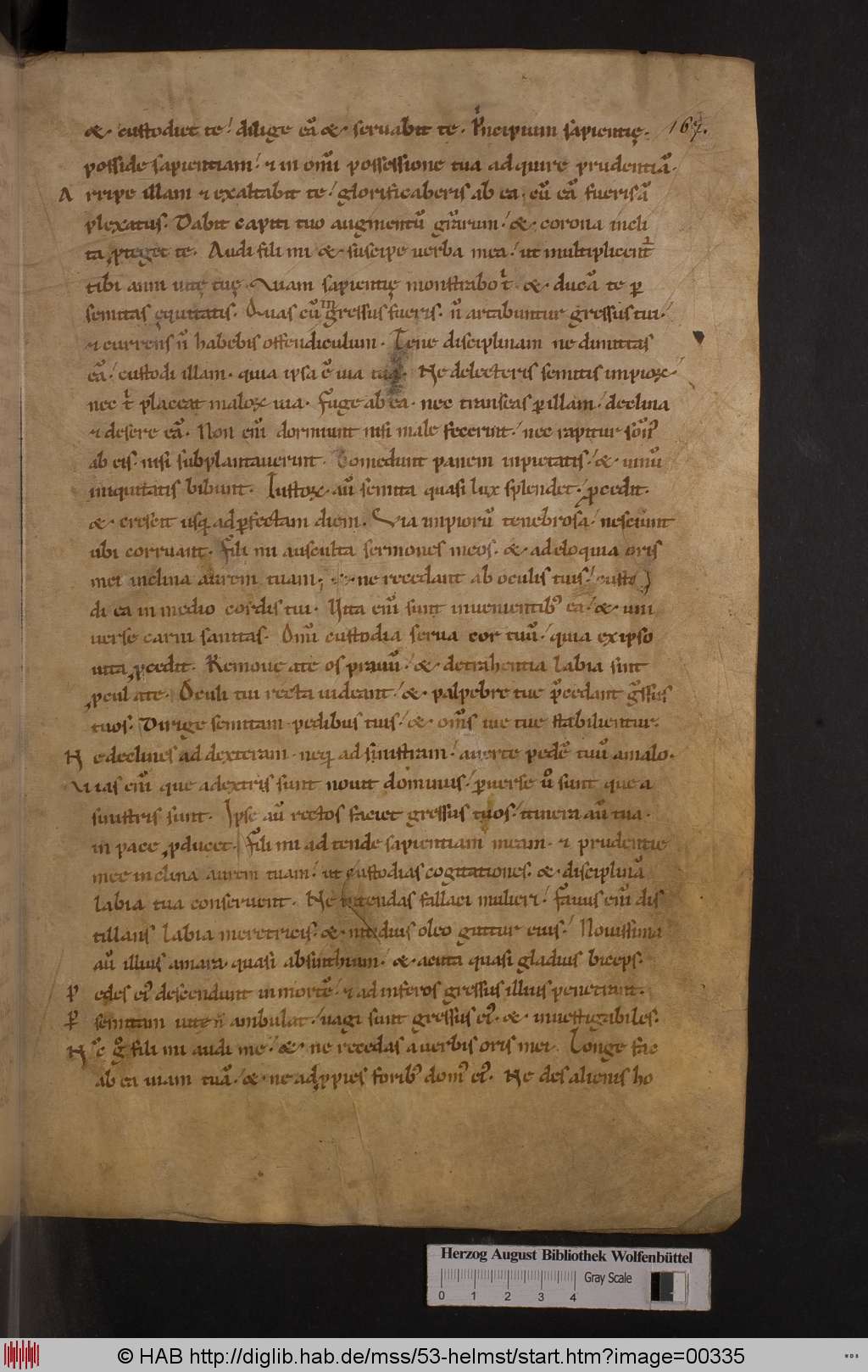 http://diglib.hab.de/mss/53-helmst/00335.jpg