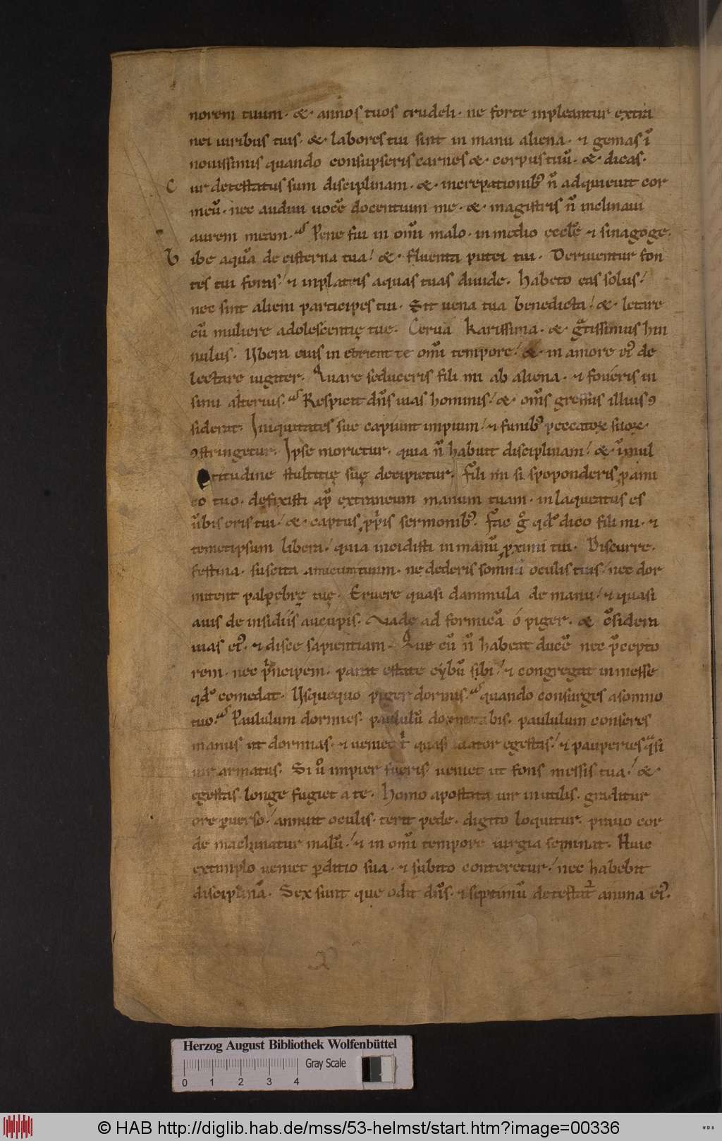 http://diglib.hab.de/mss/53-helmst/00336.jpg