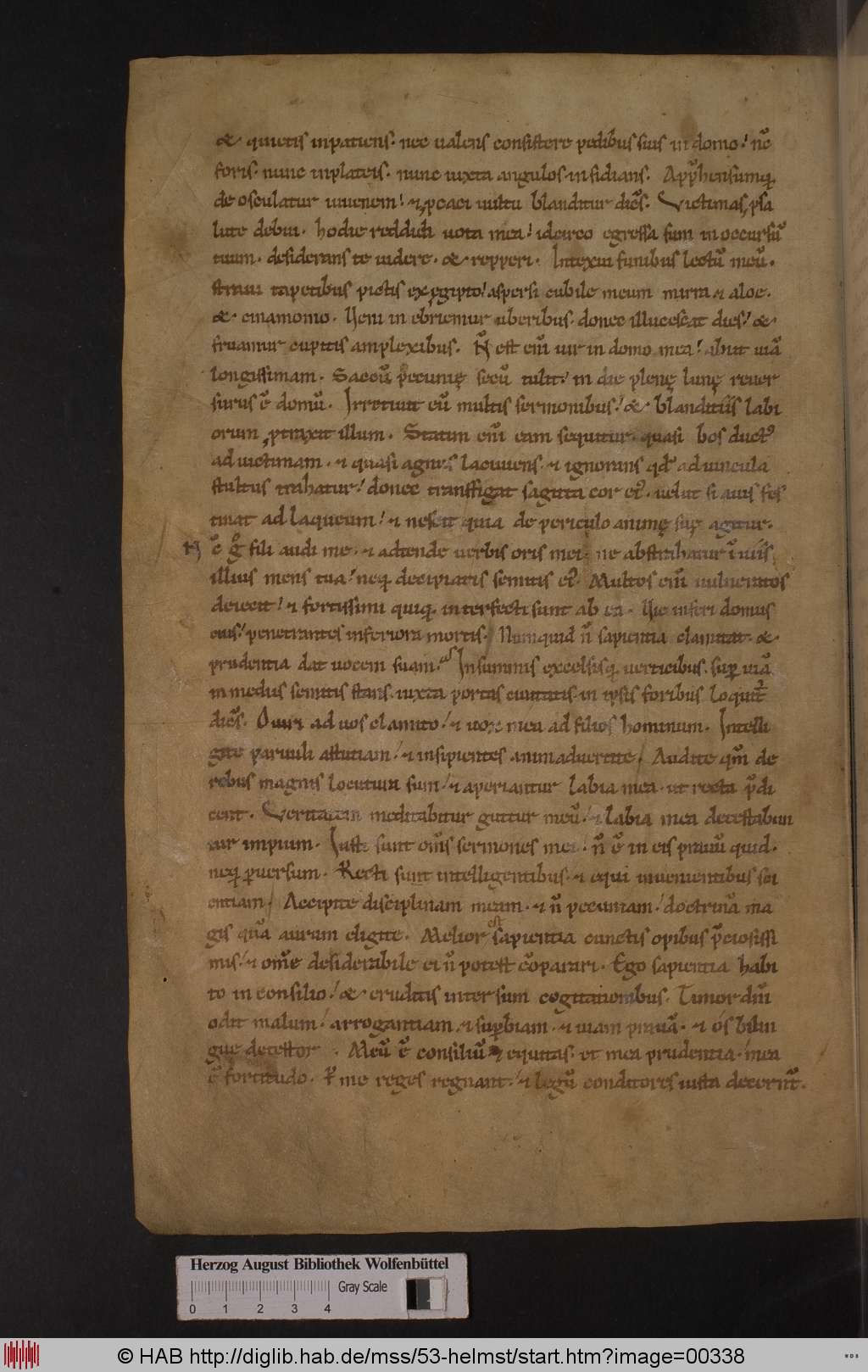 http://diglib.hab.de/mss/53-helmst/00338.jpg
