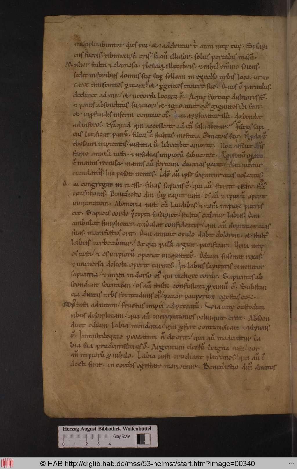 http://diglib.hab.de/mss/53-helmst/00340.jpg