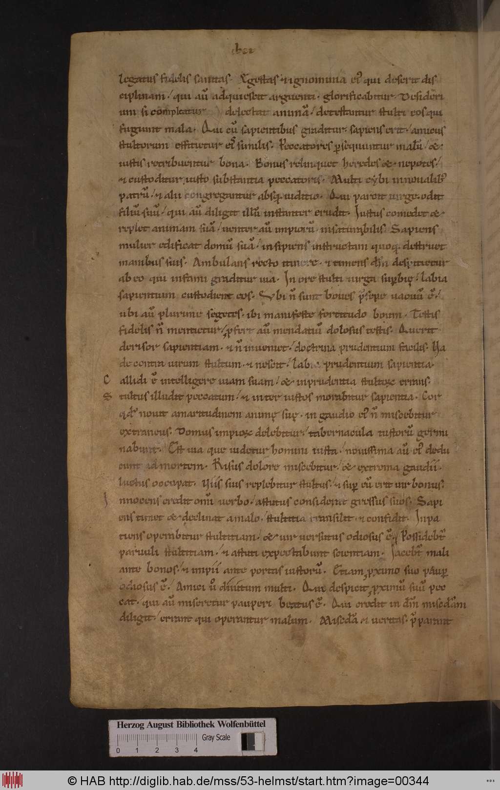 http://diglib.hab.de/mss/53-helmst/00344.jpg