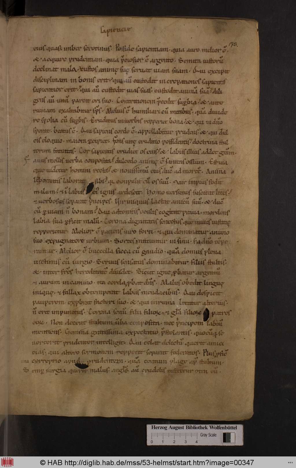 http://diglib.hab.de/mss/53-helmst/00347.jpg