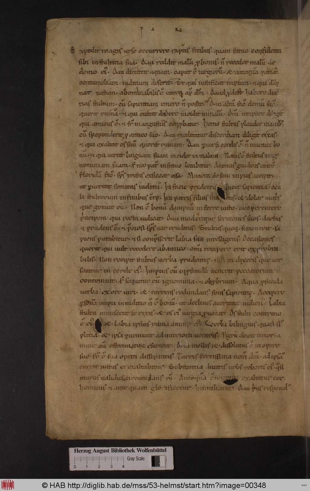 http://diglib.hab.de/mss/53-helmst/00348.jpg