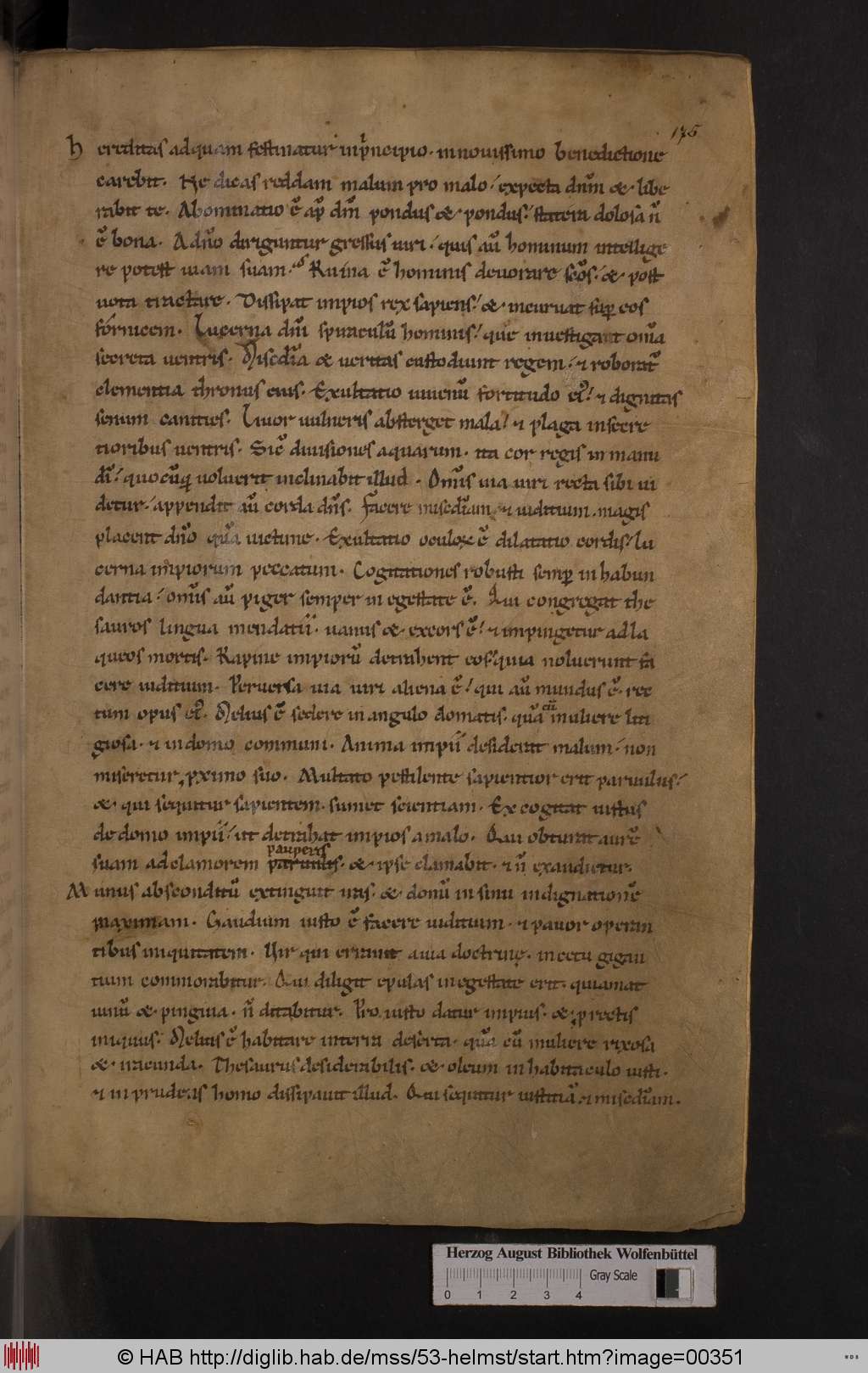 http://diglib.hab.de/mss/53-helmst/00351.jpg