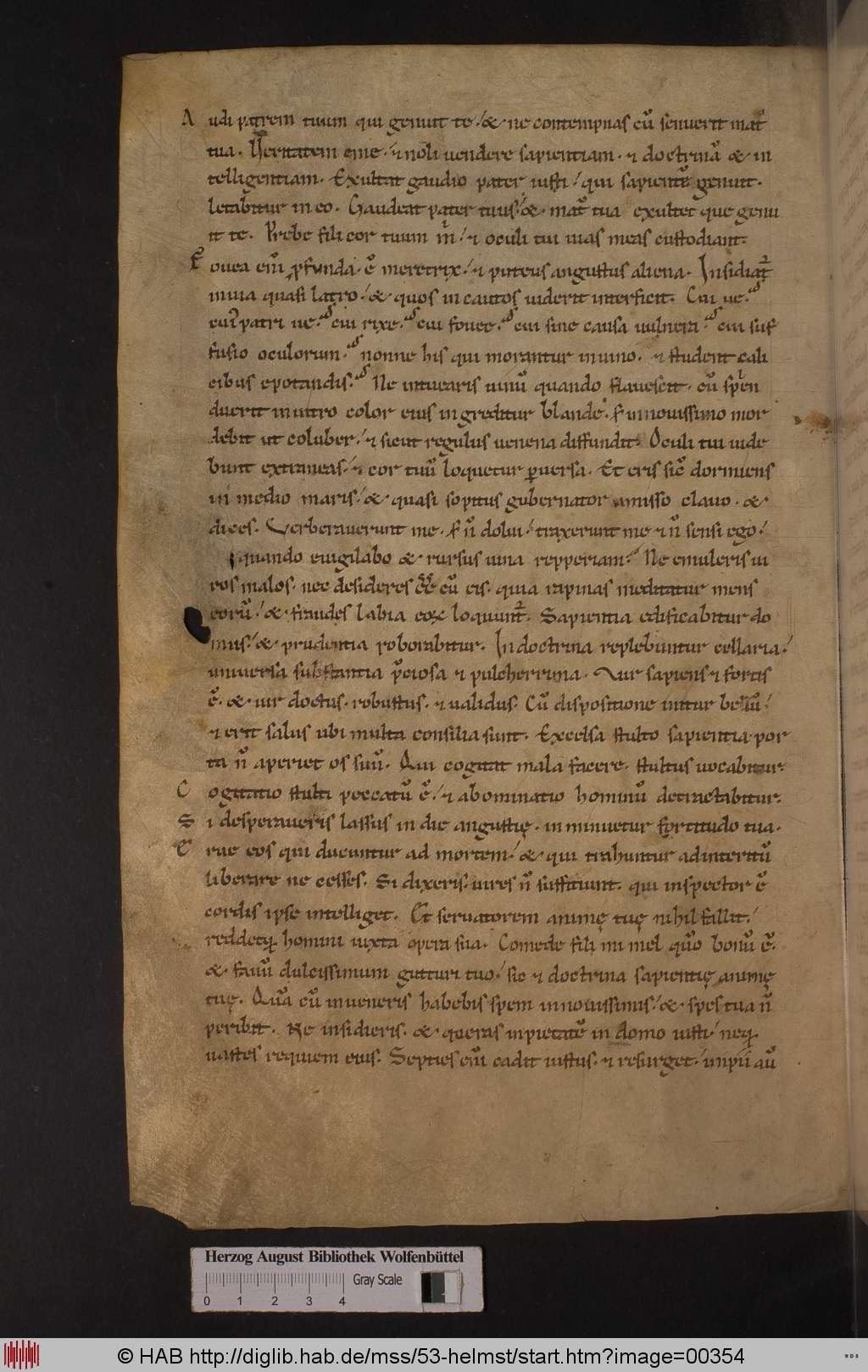 http://diglib.hab.de/mss/53-helmst/00354.jpg