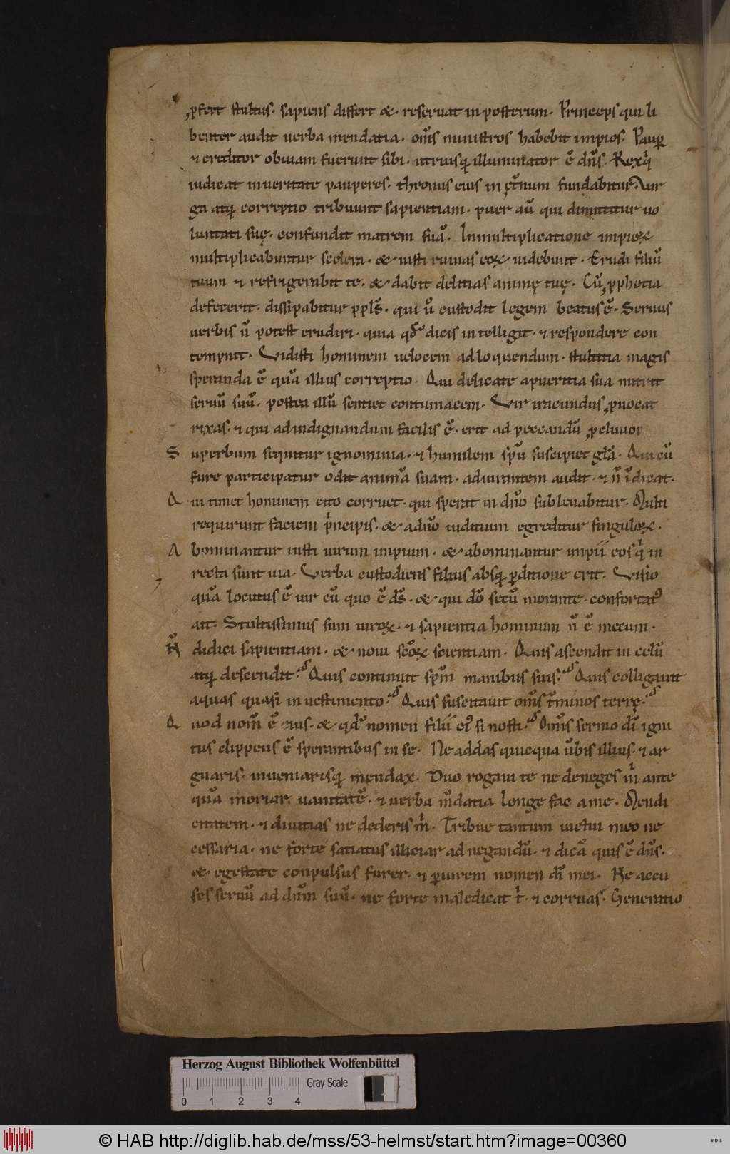 http://diglib.hab.de/mss/53-helmst/00360.jpg