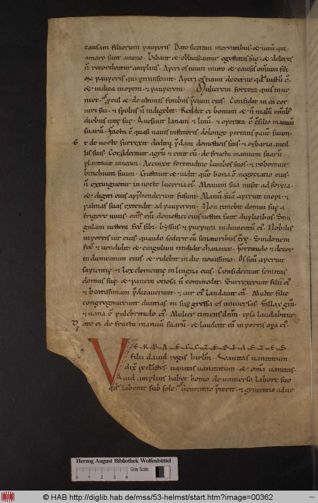http://diglib.hab.de/mss/53-helmst/00362.jpg