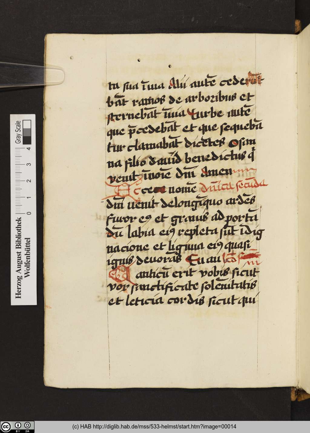 http://diglib.hab.de/mss/533-helmst/00014.jpg