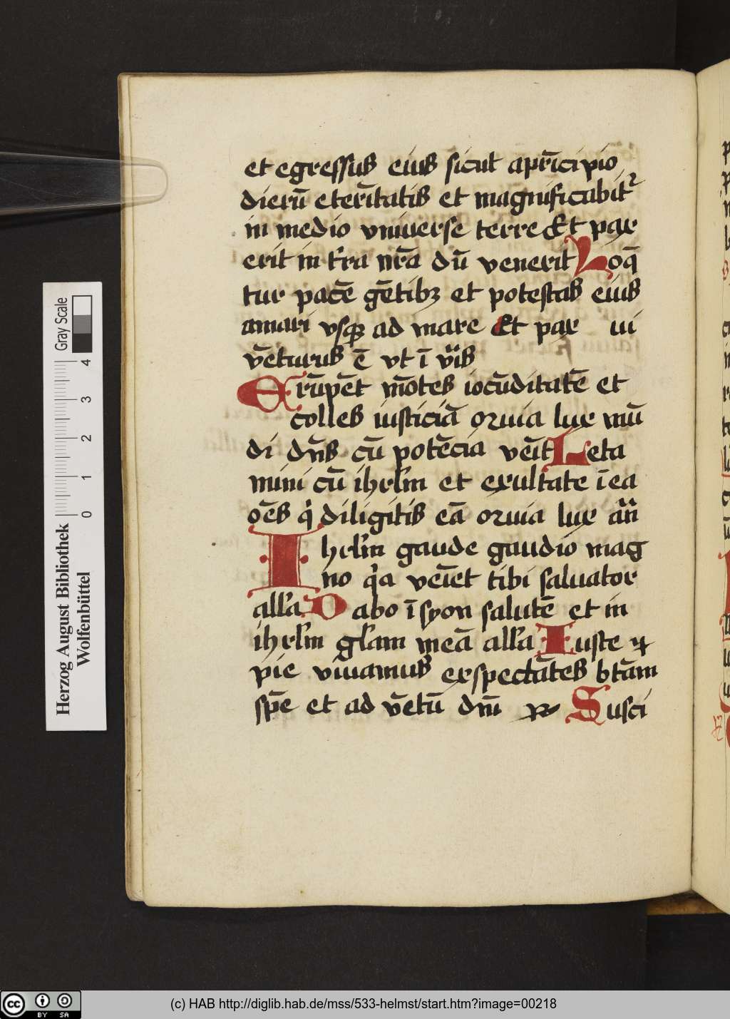 http://diglib.hab.de/mss/533-helmst/00218.jpg