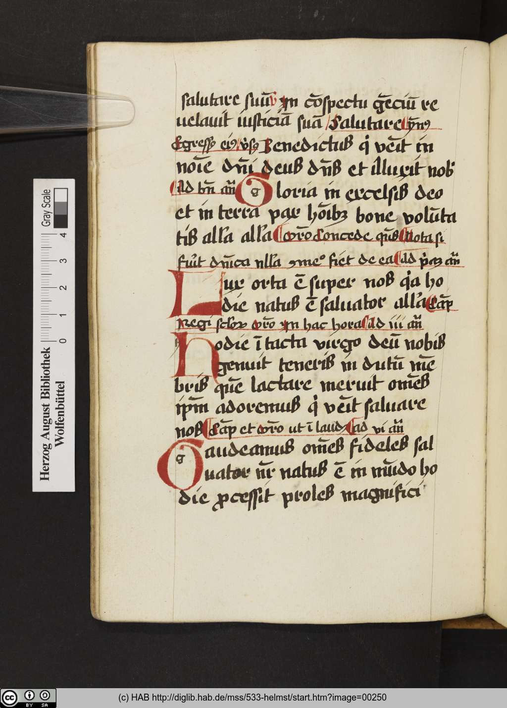 http://diglib.hab.de/mss/533-helmst/00250.jpg