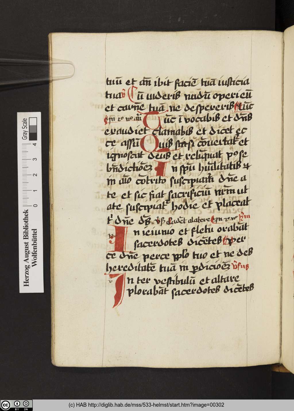 http://diglib.hab.de/mss/533-helmst/00302.jpg