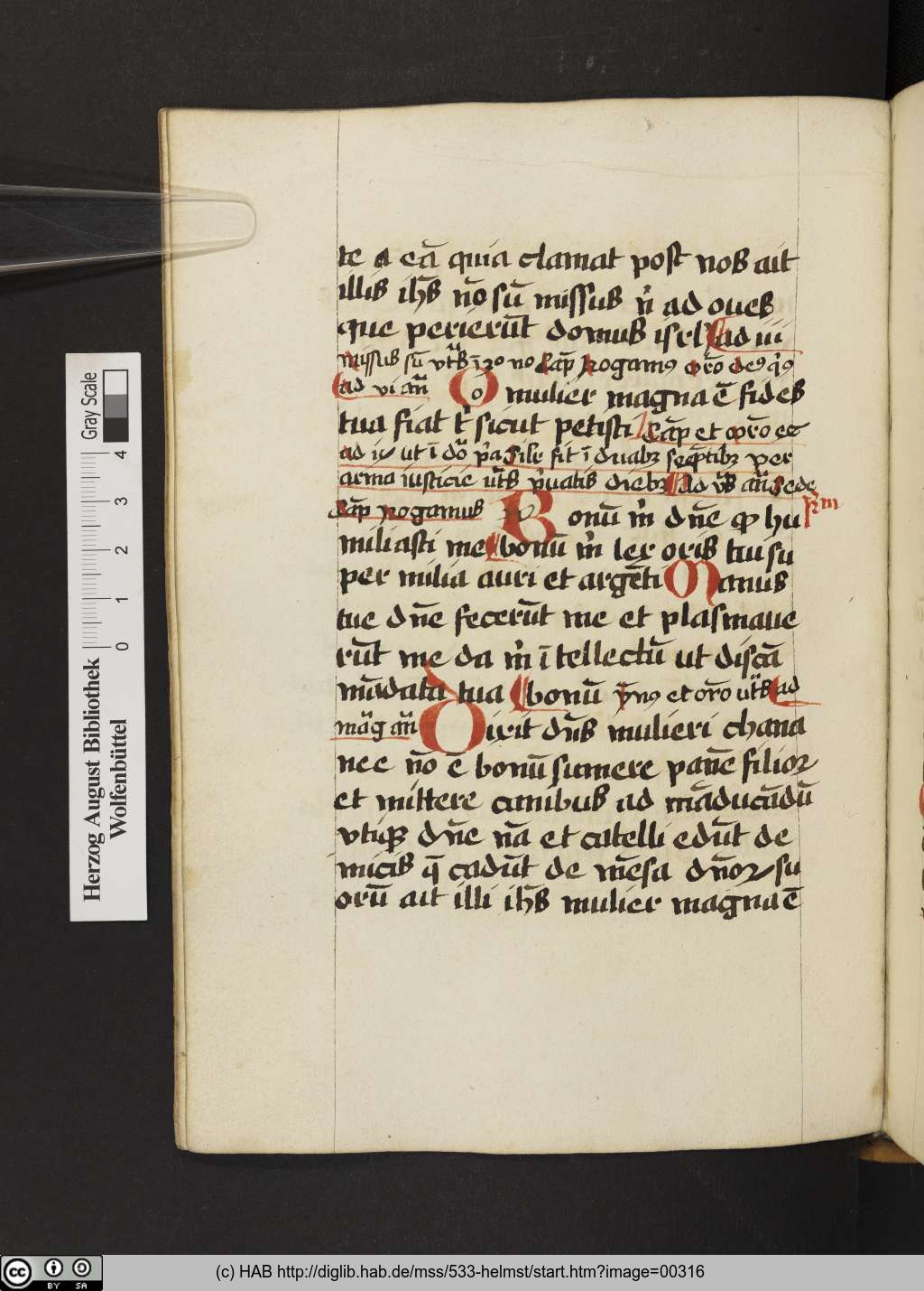 http://diglib.hab.de/mss/533-helmst/00316.jpg