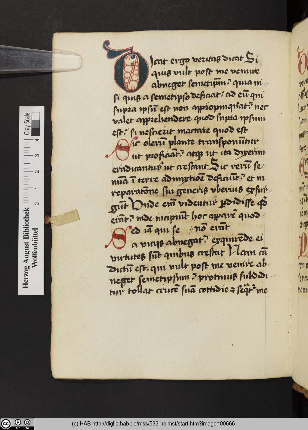 http://diglib.hab.de/mss/533-helmst/00666.jpg