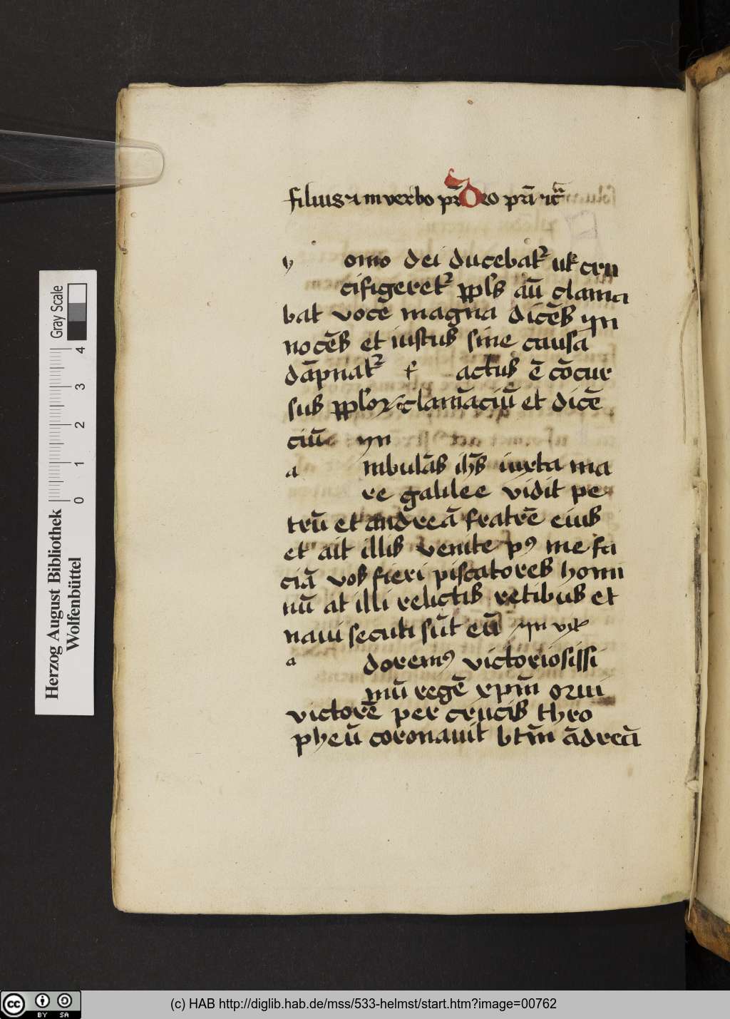 http://diglib.hab.de/mss/533-helmst/00762.jpg