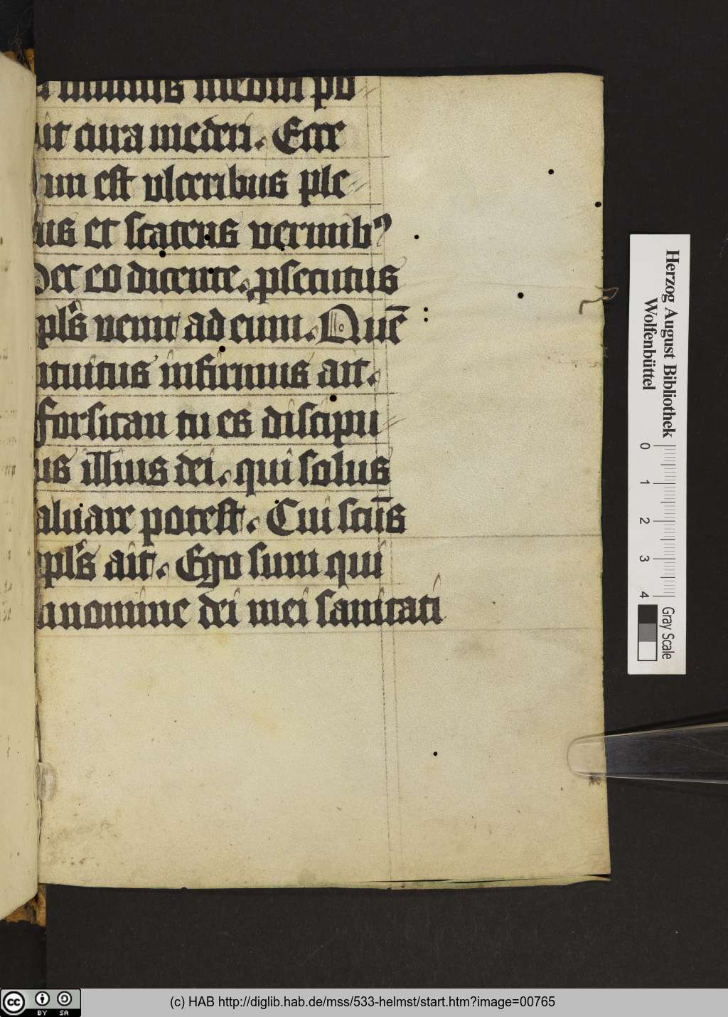 http://diglib.hab.de/mss/533-helmst/00765.jpg