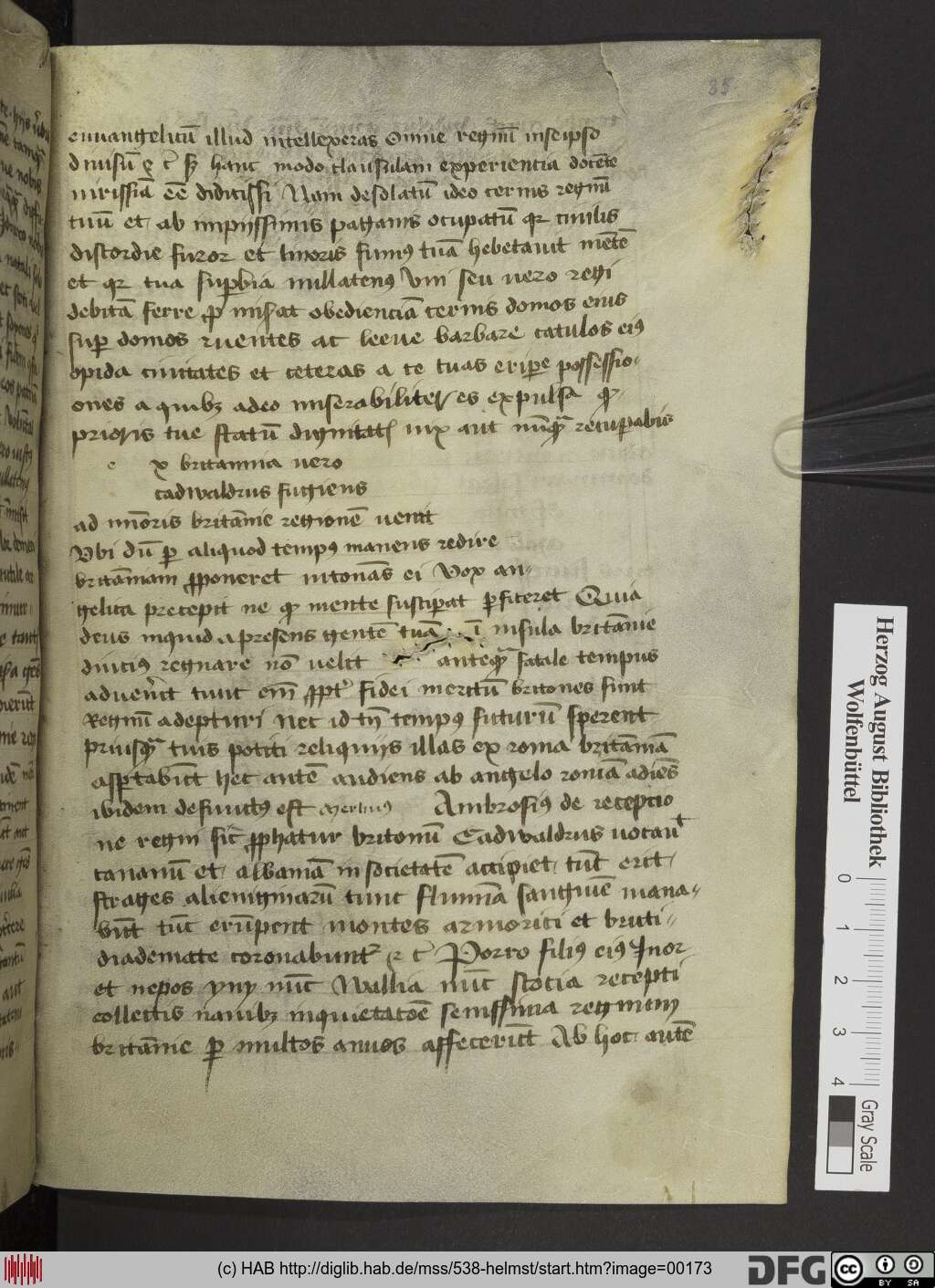 http://diglib.hab.de/mss/538-helmst/00173.jpg