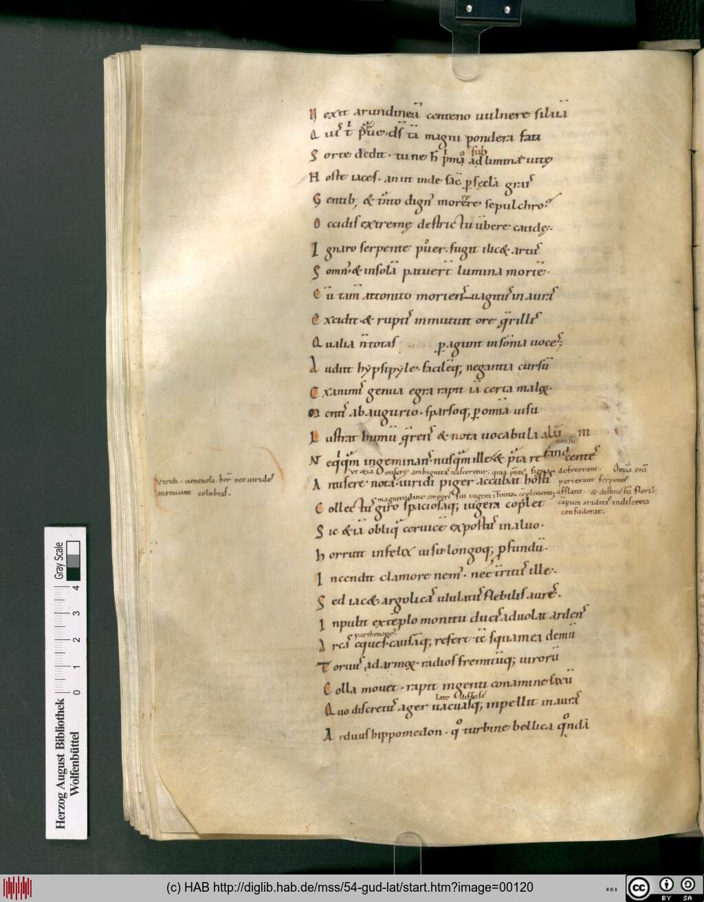 http://diglib.hab.de/mss/54-gud-lat/00120.jpg