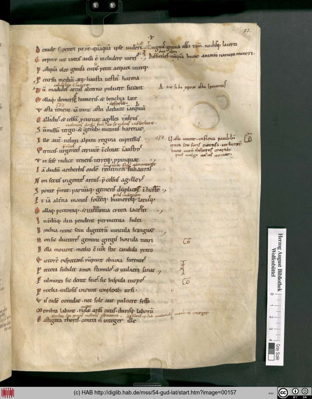 http://diglib.hab.de/mss/54-gud-lat/00157.jpg