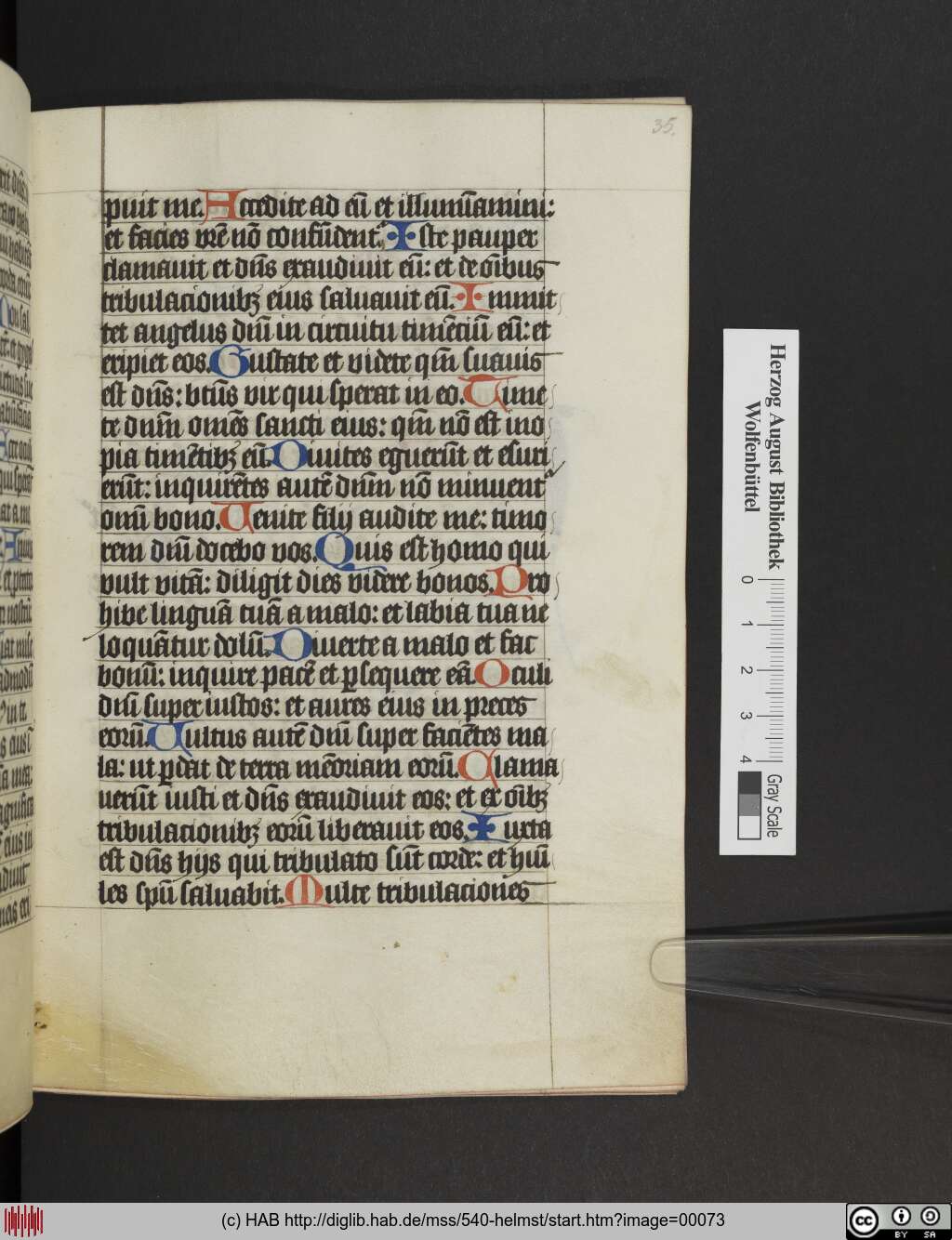 http://diglib.hab.de/mss/540-helmst/00073.jpg