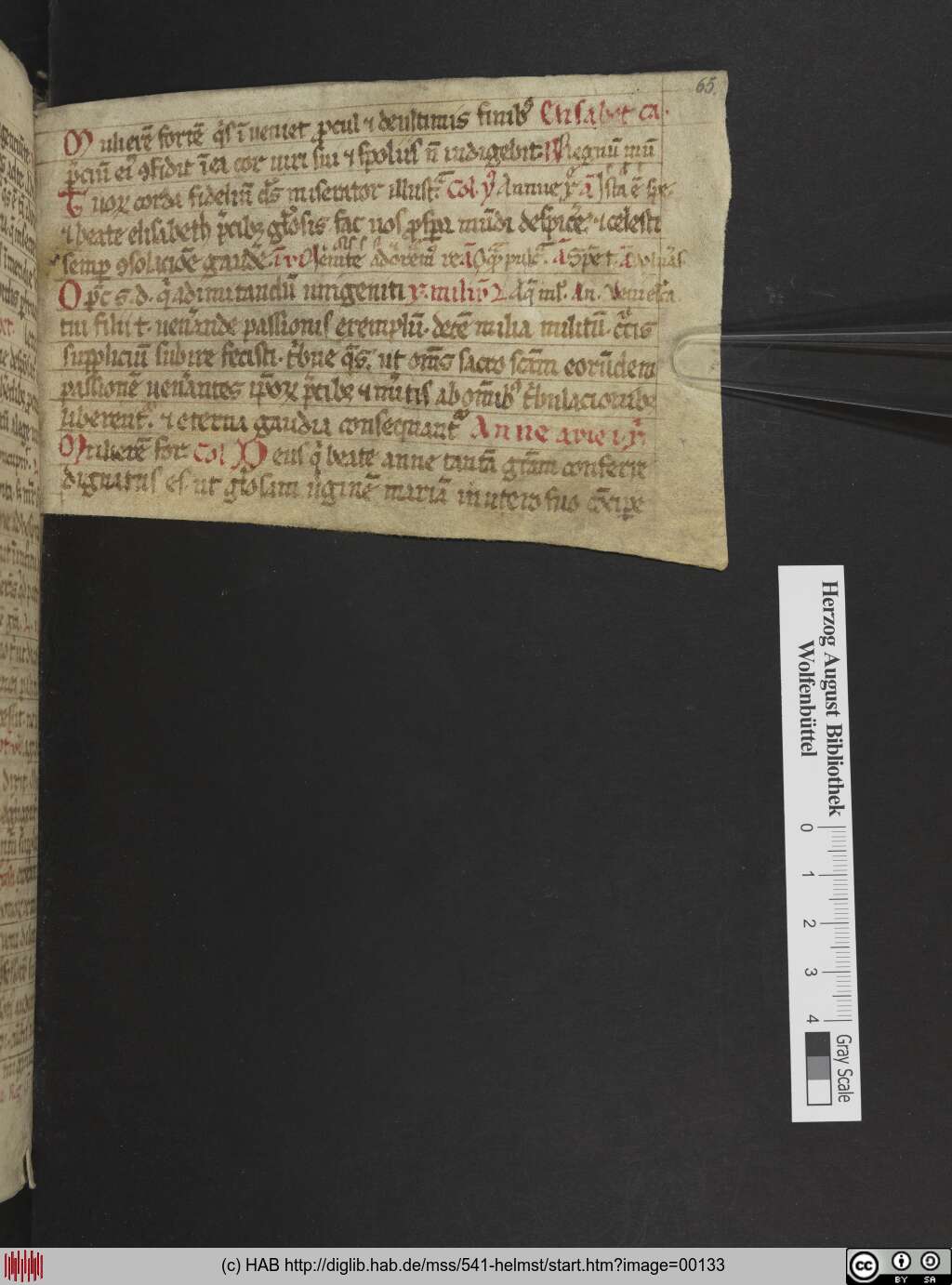 http://diglib.hab.de/mss/541-helmst/00133.jpg