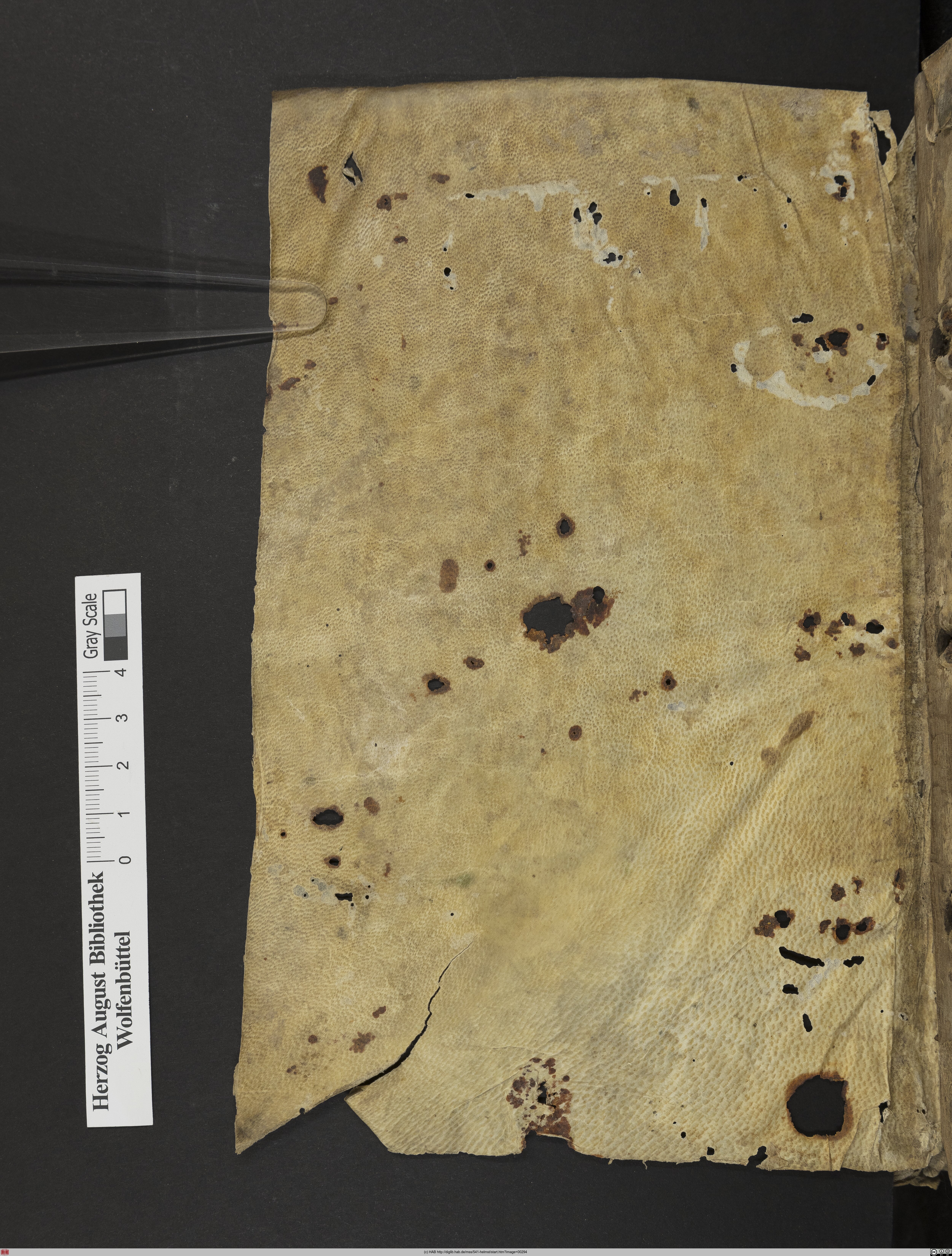 http://diglib.hab.de/mss/541-helmst/max/00294.jpg